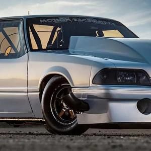 Meet your Posher, Emmett